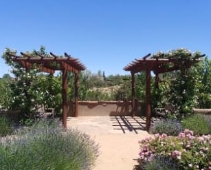 Sandia Hearing Aids Santa Fe - A garden with a pergola and lavender plants.